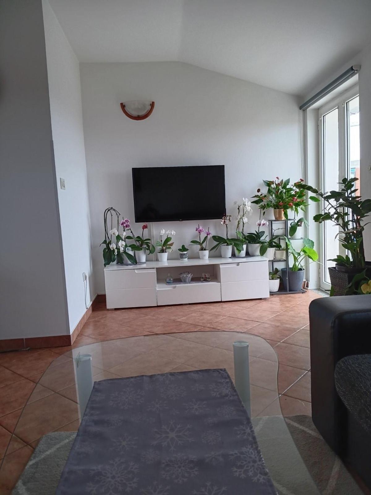 Apartman Sara โรวีน ภายนอก รูปภาพ