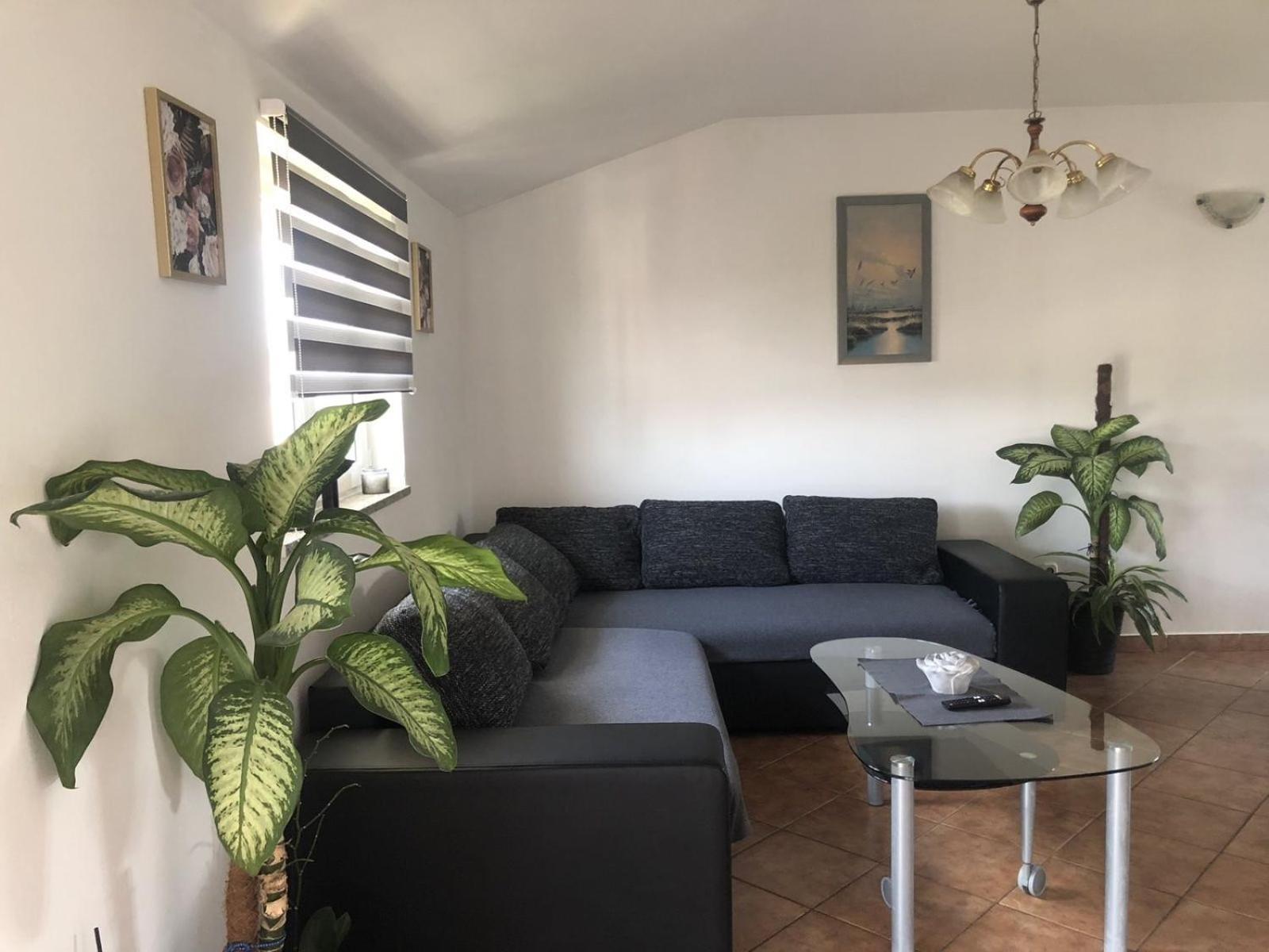 Apartman Sara โรวีน ภายนอก รูปภาพ